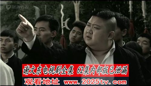 谢文东这个电视剧排出来了吗?
