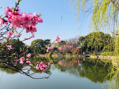 春回大地,万物复苏,又是一年芳草绿,又是一度春花红.