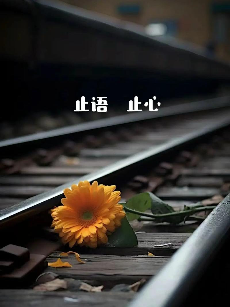 三年学说话,一生学闭嘴�止语,是上等的智慧;止心,是上等