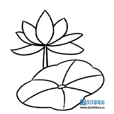 儿童画荷花荷叶画法