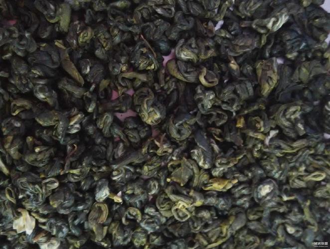 茉莉香碧螺