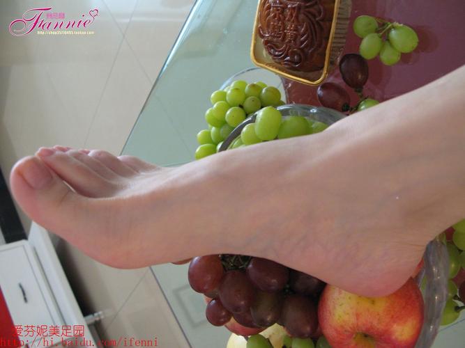 芬妮原版图之中秋快乐(四)