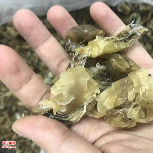 诚言海味精选长白山雪蛤大量批发 产地直销精选雪蛤正品 雪蛤