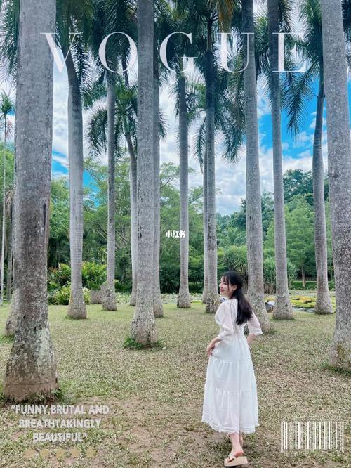 西双版纳|中科院植物园避坑指南,拍照攻略