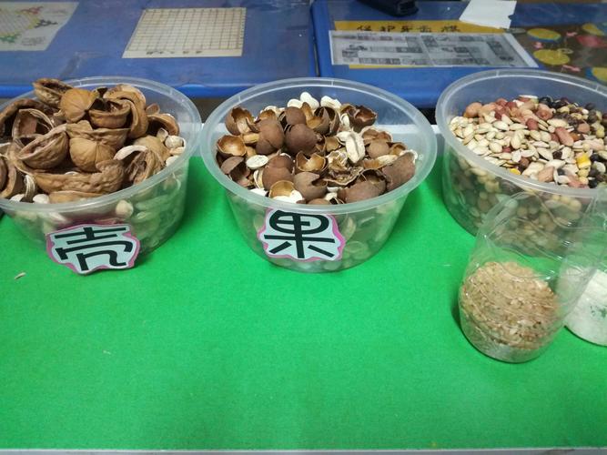 投放各种果壳,让幼儿用果壳粘贴拼摆图案.