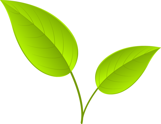 卡通树叶图片大全_卡通树叶图片素材【png免费下载】-90设计网