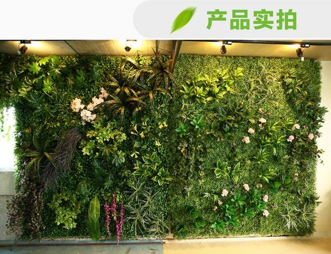 绿植墙-花瓣网|陪你做生活的设计师 | 品牌绿植墙