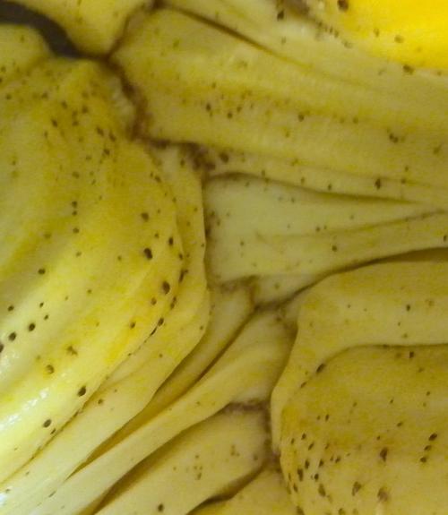 请问新鲜菠萝蜜果肉上有褐色的小点点,是什么?可以食用吗?如图