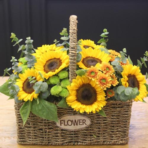 向日葵花篮 探望祝福 适合送男性 送长辈领导 长春鲜花速递同城