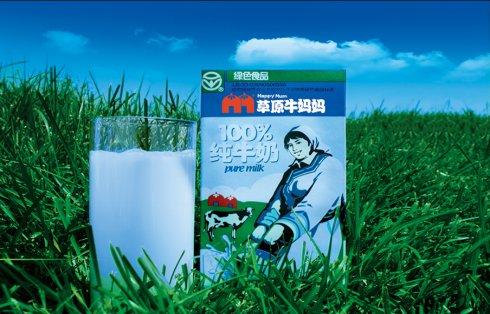 草原牛妈妈vi系统鄂尔多斯标识画册包装设计