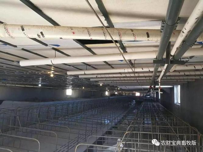 采用大跨度猪舍,同时屋顶采用厚实的板材铺设上方遍布预热用的通风管