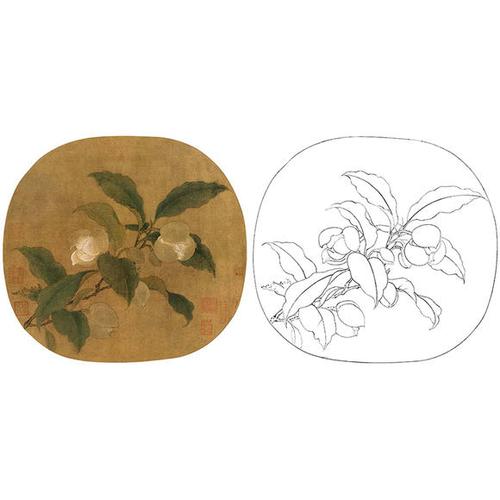 宋画花鸟小品白描底稿-佚名-夜合花图-gh33