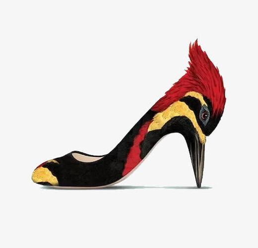 创意,鹦鹉,高跟鞋,唯美,时尚