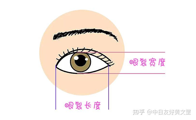 想让眼睛变大就要开眼角,你真的适合吗?