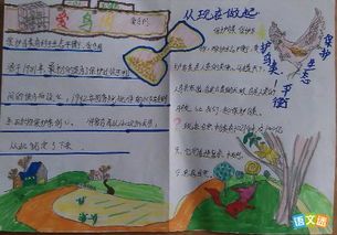爱鸟周-我和小鸟做朋友手抄报 手抄报图片大全