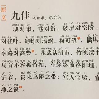 【声律启蒙】395,《九佳(城对市,巷对街)》