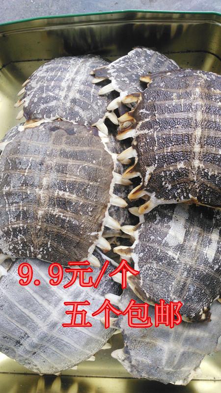 中药材生鳖甲 甲鱼壳上甲鳖壳 团鱼甲 鳖盖子 龟板