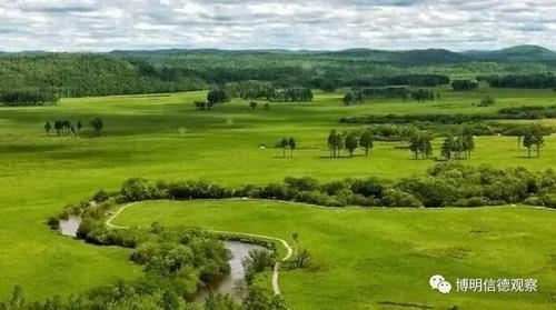 智慧互联草原大数据发展草原碳汇助力碳减排