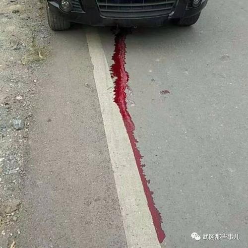 【突发】邵阳武冈发生一起惨烈车祸,一小学生脑浆都出来了.