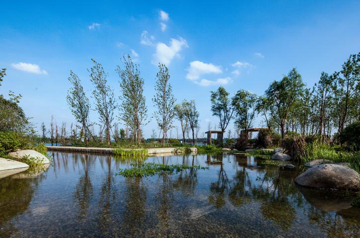 华侨城一线东湖95㎡压轴之作 6月盛大开盘