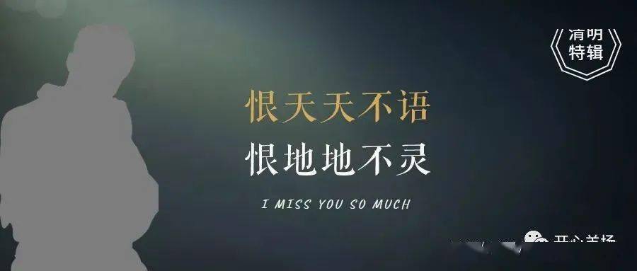 望眼天堂!10句清明节文案,追思,怀念_文章_涌泉_伏起
