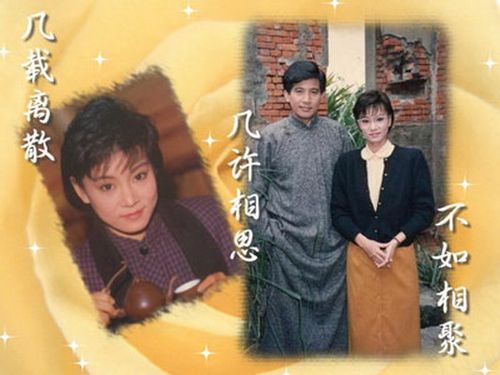 盘点那些陪我们走过青葱岁月的琼瑶电视剧