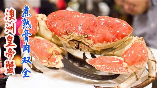 澳大利亚大厨烹饪巨型皇帝蟹,大锅蒸熟扒肉够一桌人吃!