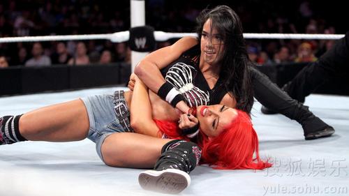 组图:wwe近年美女排行top10 贝拉姐妹花性感