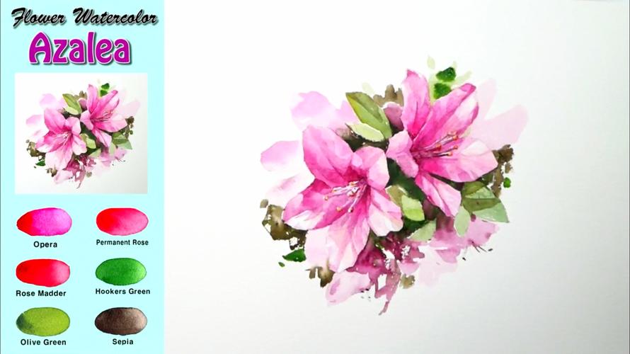 【水彩画】你家楼下的杜鹃花开了吗