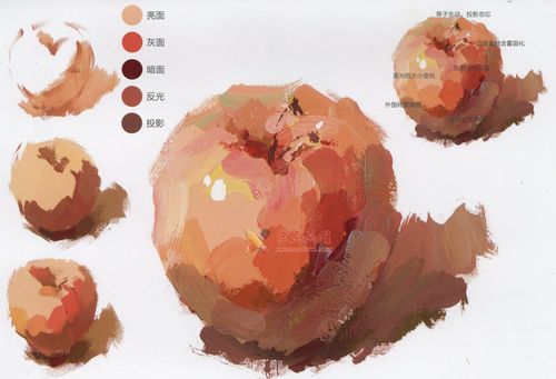 水粉画单体静物:苹果的画法图解及临摹高清范画图片