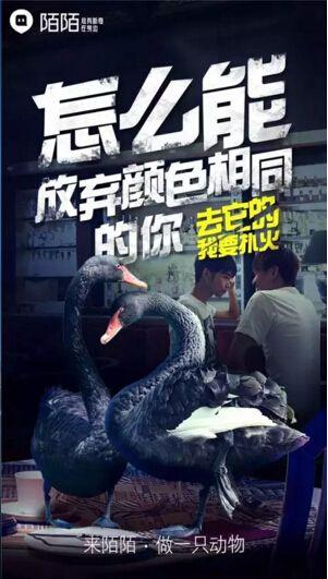 这些tvc 和海报,想让你看到一个不一样的陌陌