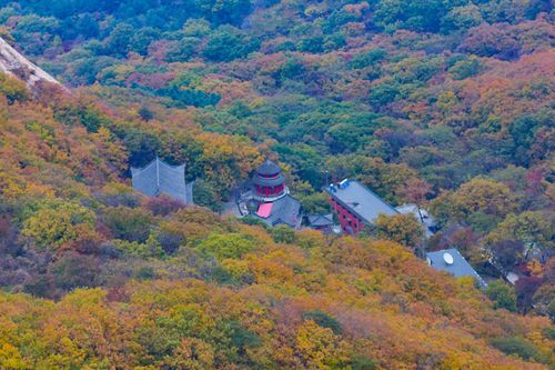 凤凰山