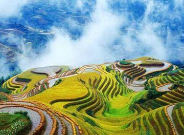 龙脊梯田的奥秘 - 广西首页 -中国天气网