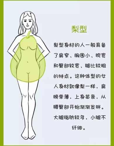 身材分为那些种类