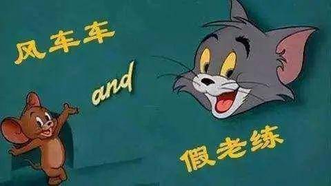 风车车与假老练情侣头像