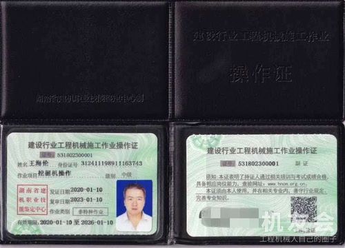 钩机铲车在一起的图片