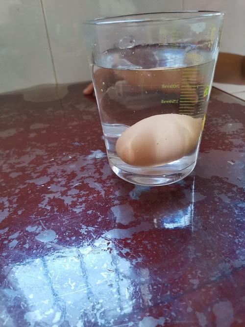 我们先把鸡蛋放在清水里面,看一看它是什么现象?瞧,他并没有浮起来.