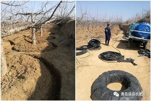 大旱不旱,渗灌技术推出新方法"助阵"