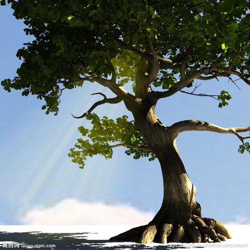 三维树设计图__3d作品_3d设计_设计图库_昵图网nipic.