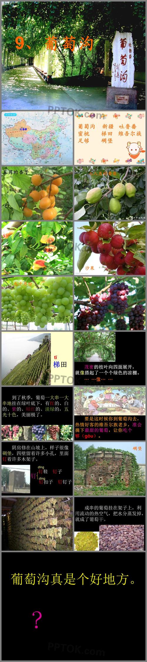 《葡萄沟》ppt优秀公开课件