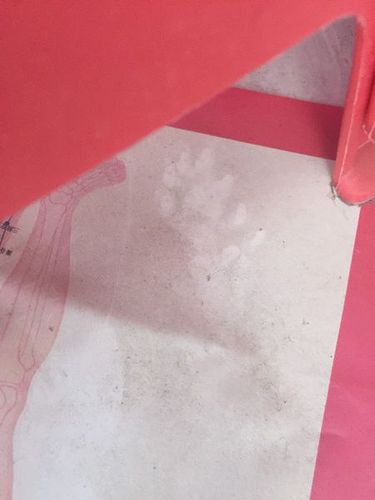 这是什么动物的脚印?猫?老鼠?黄鼠狼?