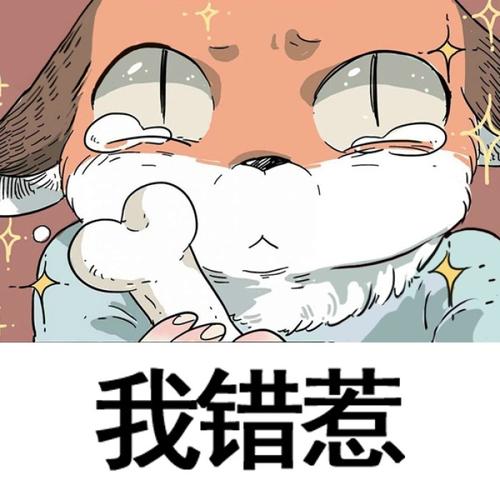 废柴狐阿桔——表情包