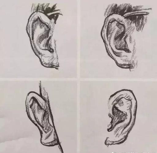 各个角度的速写五官 ~#速写#(来源网络,仅供分享学习,侵删) (转)via