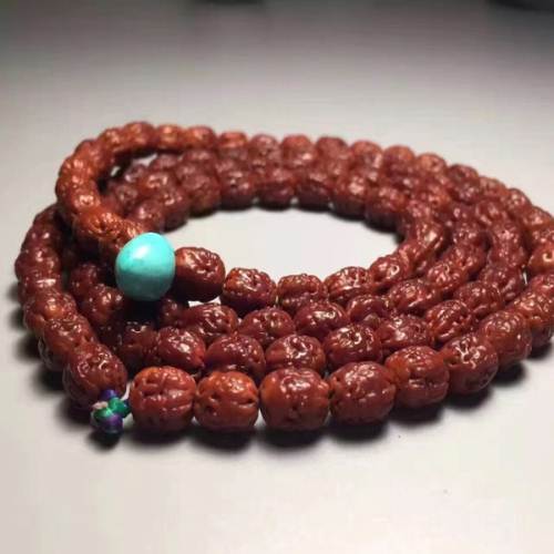 佛手小金刚菩提,满肉