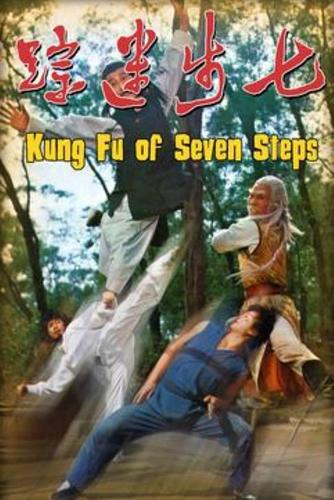 七步迷踪 七步迷踪的海报