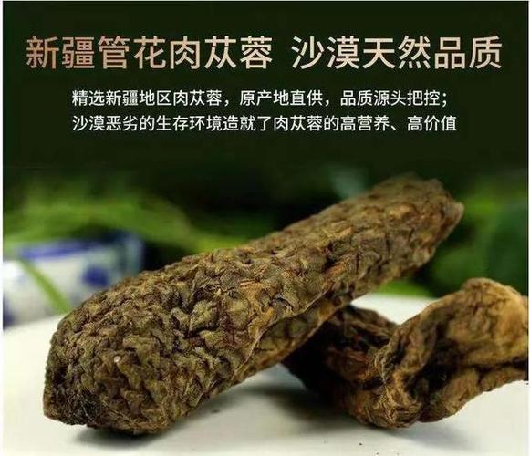 管花肉苁蓉与荒漠肉苁蓉的区别,哪个好?