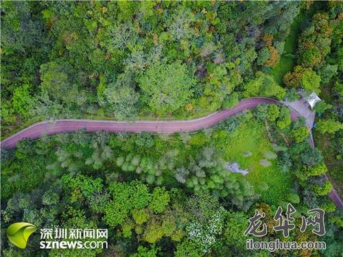除了新建成的羊台山段,2018年初开放的环城绿道大水坑段也已成为市民