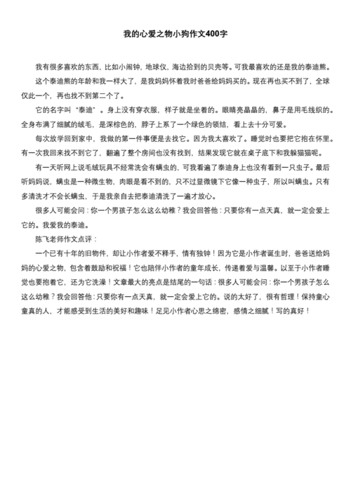我的心爱之物小狗作文400字.docx 1页