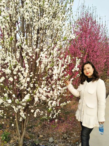 安州区乐兴镇百花园赏花.