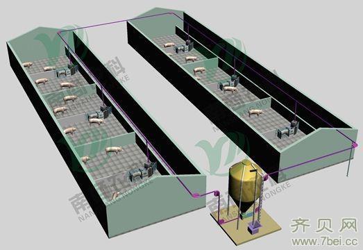 猪舍自动供料线如何设计最经济实用